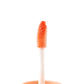 BRILLO LABIAL COLOR